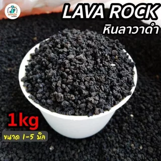 หินภูเขาไฟดำ (หินลาวาดำ Black lava) บรรจุถุง 1 กิโล ขนาด1-5 มิล วัสดุปลูก ผสมดิน โรยหน้ากระถาง แคคตัส (กระบองเพชร) บอนไซ