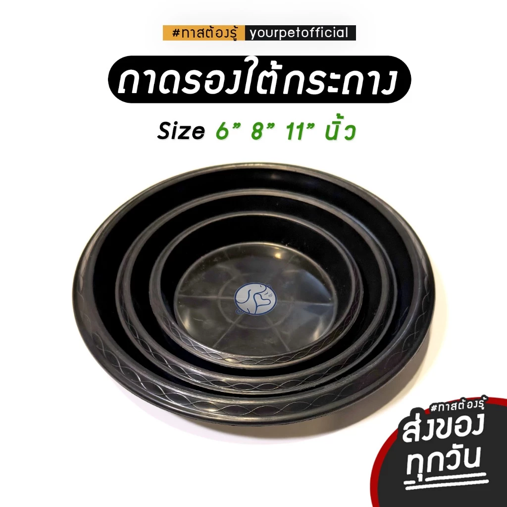 จานรองใต้กระถาง 4 นิ้ว 6 นิ้ว 8 นิ้ว 11 นิ้ว วัสดุแข็งแรง ทนทาน ดีไซน์ลึก ช่วยเก็บน้ำได้เยอะ ใช้งานได้ยาวนาน