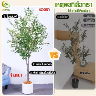 【สั่งแล้วฟรีกระถางดอกไม้】ต้นโอลีฟ ต้นมะกอกปลอม 120/150/180cm สไตล์นอร์ดิกอิน ลำต้นสีน้ำตาลเหมือนของจริง ต้นไม้ปลอมใหญ่
