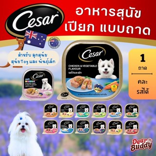 Cesar (ซีซาร์) อาหารเปียกสุนัข แบบถาด 100g (1 ถาด) อาหารหมา …