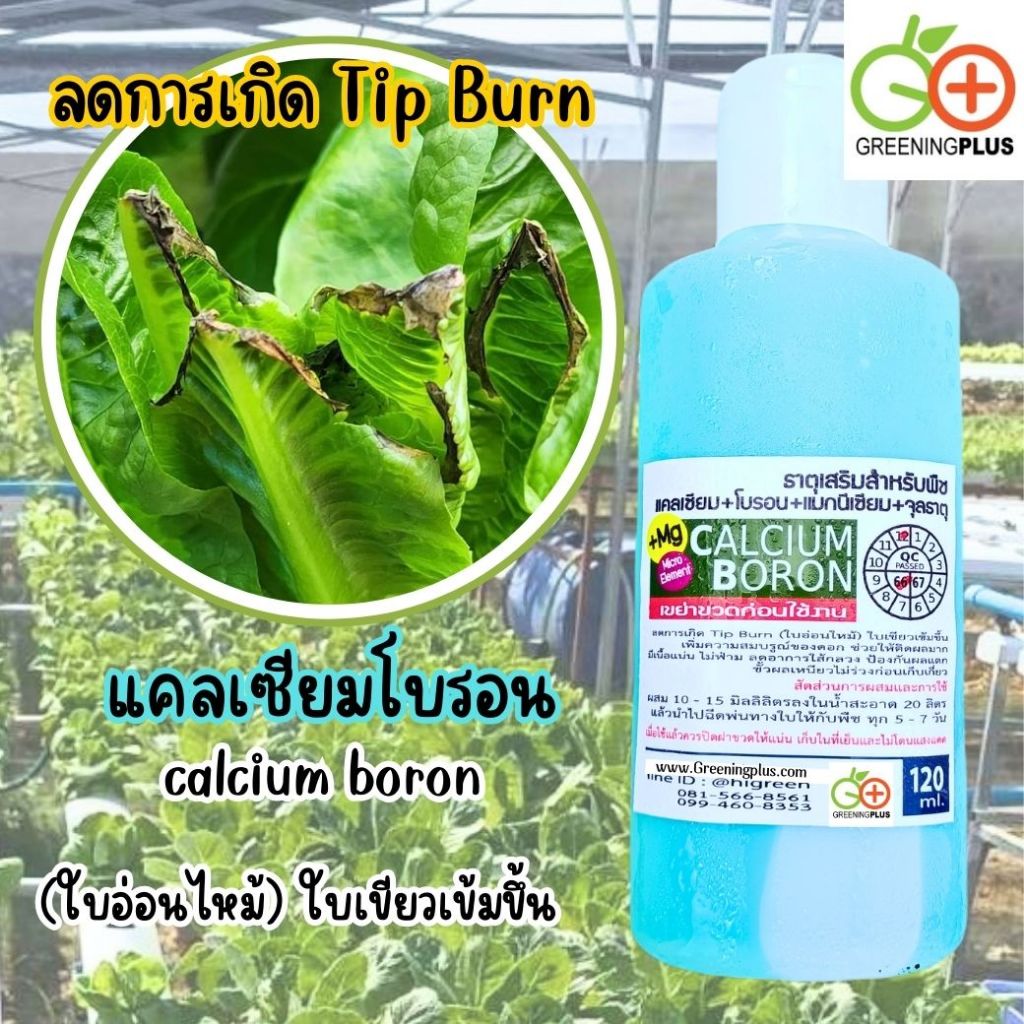 แคลเซียมโบรอน calcium boron 120ml./ขวด