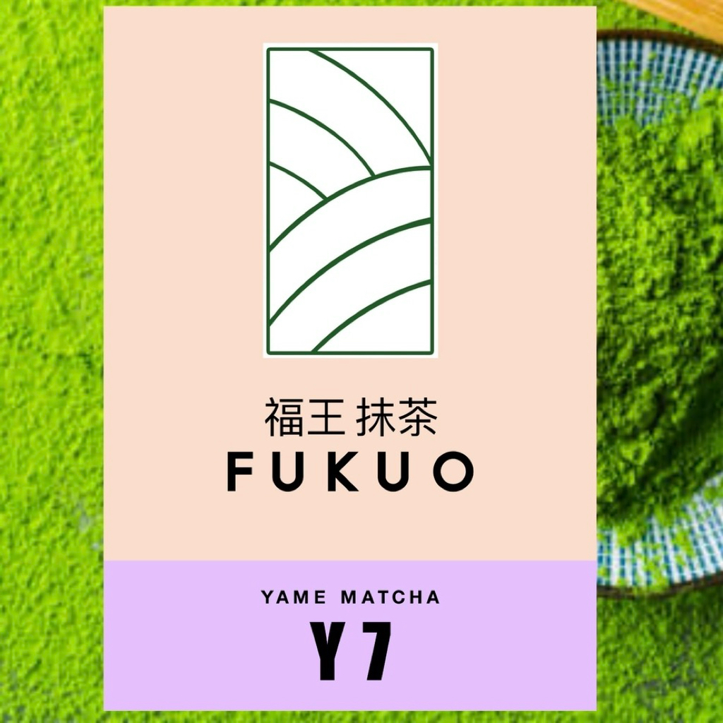 (Fukuo) Y7 HOSHINO YAME Ceremonial grade มัทฉะ โทนถั่ว จากญี่ปุ่น 🇯🇵 ของแท้ เกรดพิธีการ