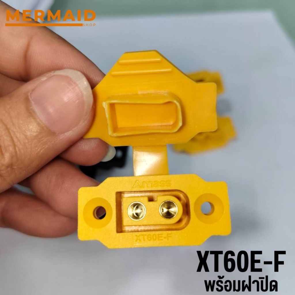 รูปภาพ 6