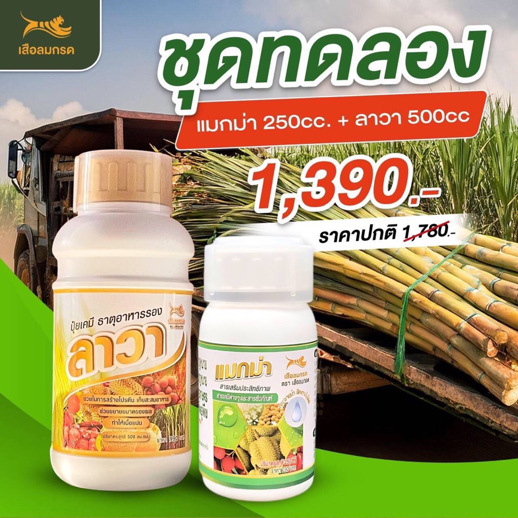 แมกม่าลาวา ชุดเล็ก ผสมน้ำได้1,000ลิตร