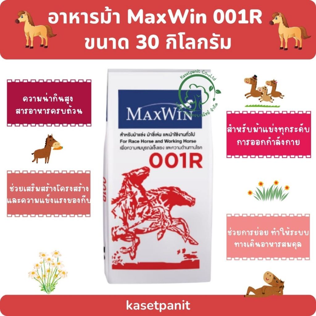 MaxWin 001R ม้าแข่ง 30 kg.