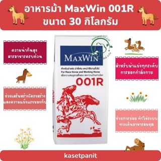 MaxWin 001R ม้าแข่ง 30 kg.