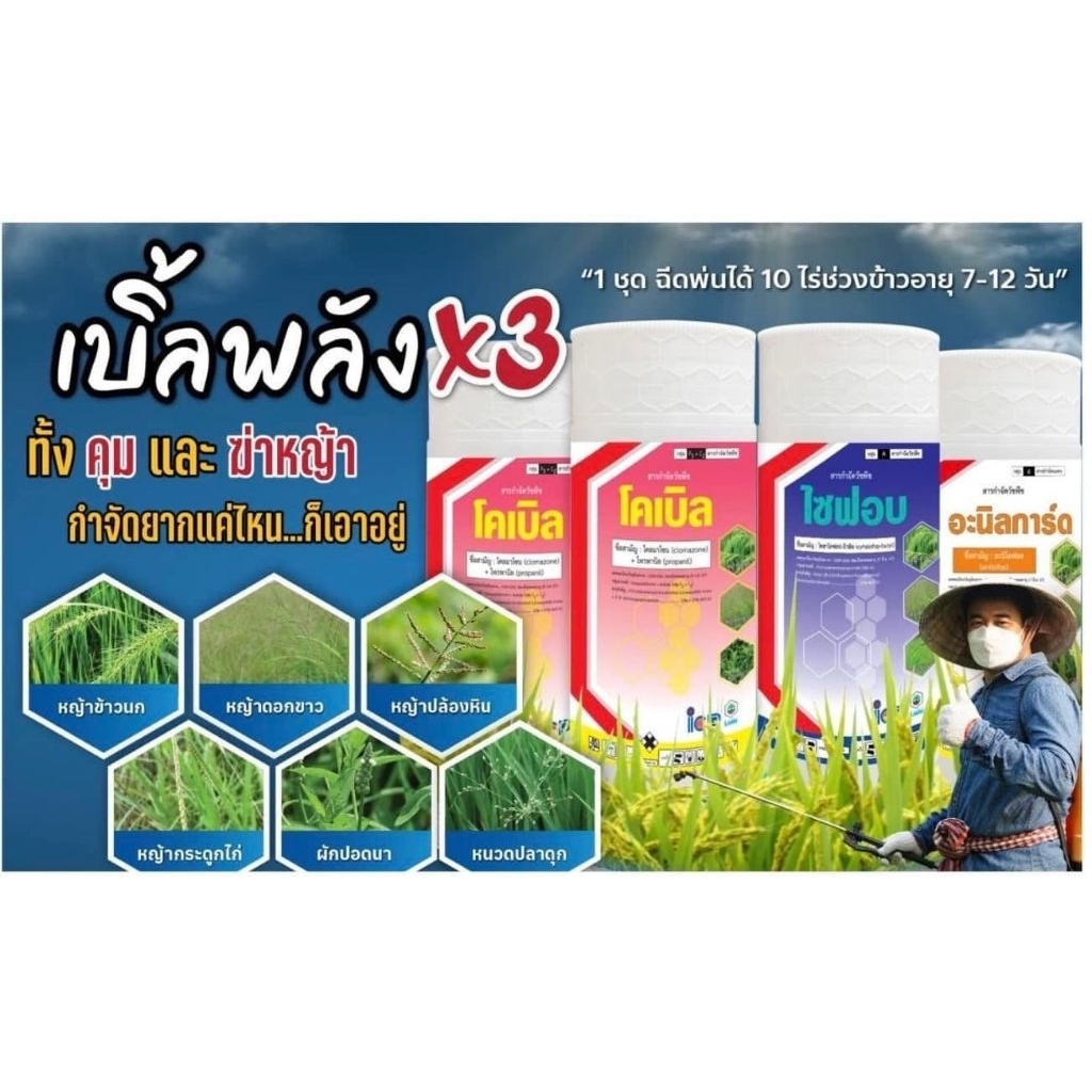 ชุดเบิ้ลพลังx3 ของไอซีพี ลัดดา กำจัดหญ้าปล้องหิน หญ้าข้าวนก หญ้าดอกขาว หญ้านกชมพู