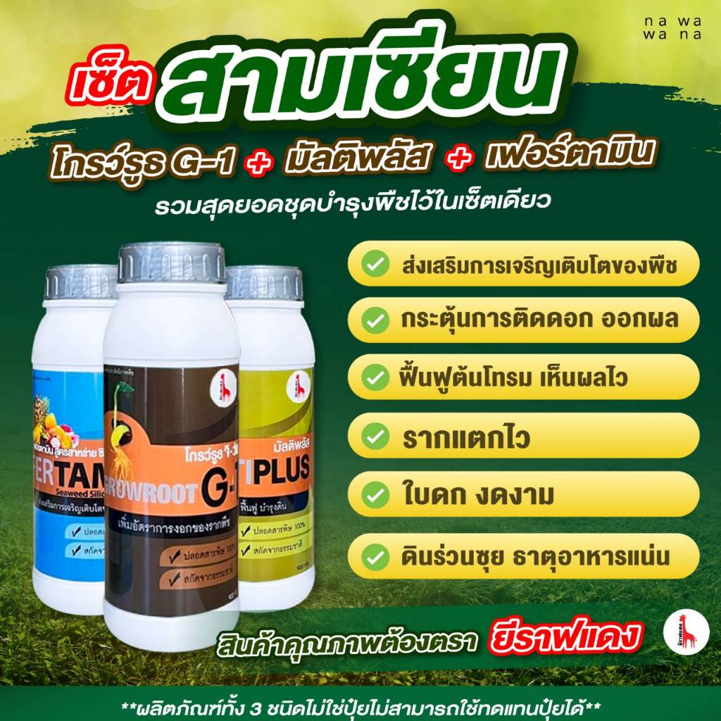 เซ็ตสามเซียน รวมสุดยอดชุดบำรุงพืช โกรว์รูธ จีวัน+มัลติพลัส+เฟอร์ตามิน รวม 3 ขวดเร่งราก บำรุงดินต้นสมบูรณ์ผลผลิตดี ใบแน่น