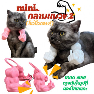 กล้ามแมวมินิโชว์นิ้วกลาง V.2 ขนาด Mini คอสตูมแมวกวน พร็อพถ่า…