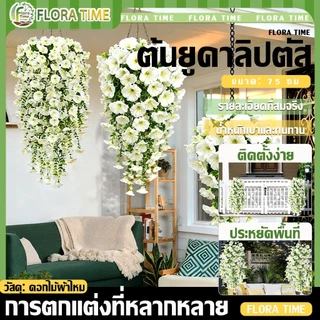 ดอกไม้ประดิษฐ์ลายผักบุ้ง หลากสี 75CM พืชสมจริง ใช้ได้กับ ตกแต่งกำแพง ตกแต่งสวน สวน งานแต่งงาน ลานกลางแจ้ง