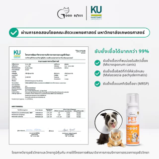 Goodboss Pet Spray สเปรย์สมานเเผลสำหรับสัตว์เลี้ยง ช่วยให้เเผลเเห้งเร็ว ผลิตภัณฑ์ออแกนิค