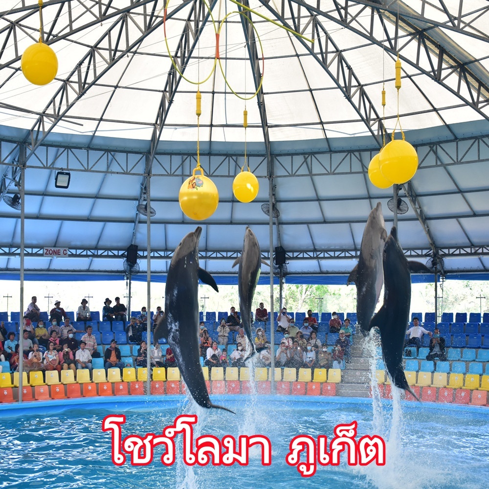 Online Ticket บัตรเข้าชม Dolphins Bay Phuket โชว์โลมาภูเก็ต
