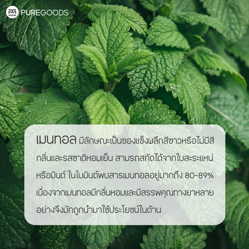 การบูร พิมเสน เมนทอล บริสุทธิ์แท้ 100% คัดเกรดคุณภาพ Net weight 100G รูปที่ 5