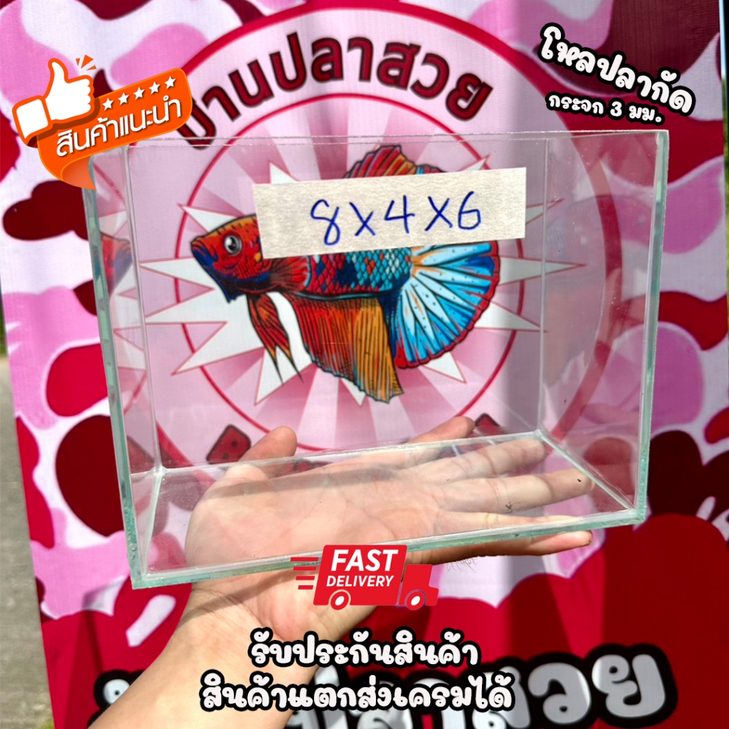 โหลปลากัด ขนาด8x4x6นิ้ว หนา3มิล กาวใส