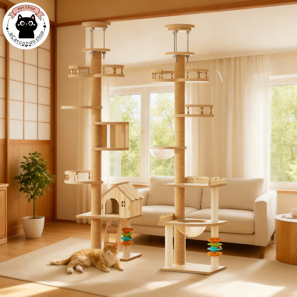 🌵 คอนโดแมวติดเพดาน แท่นเสาปีนป่าย เหมาะกับเพดาน คอนโดแมว เสาปีนป่าย เสาลับเล็บแมว เสาจัมโบ้ mt-4 mt-