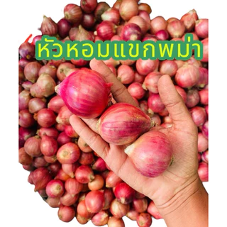 หอมแขกพม่า ซส์กระเทย น้ำหนัก 9.5-10กิโล คัดพิเศษไม่มีเน่าไม่มีเสีย ทางเราจัดโปรราคาส่งทั่วประเทศ
