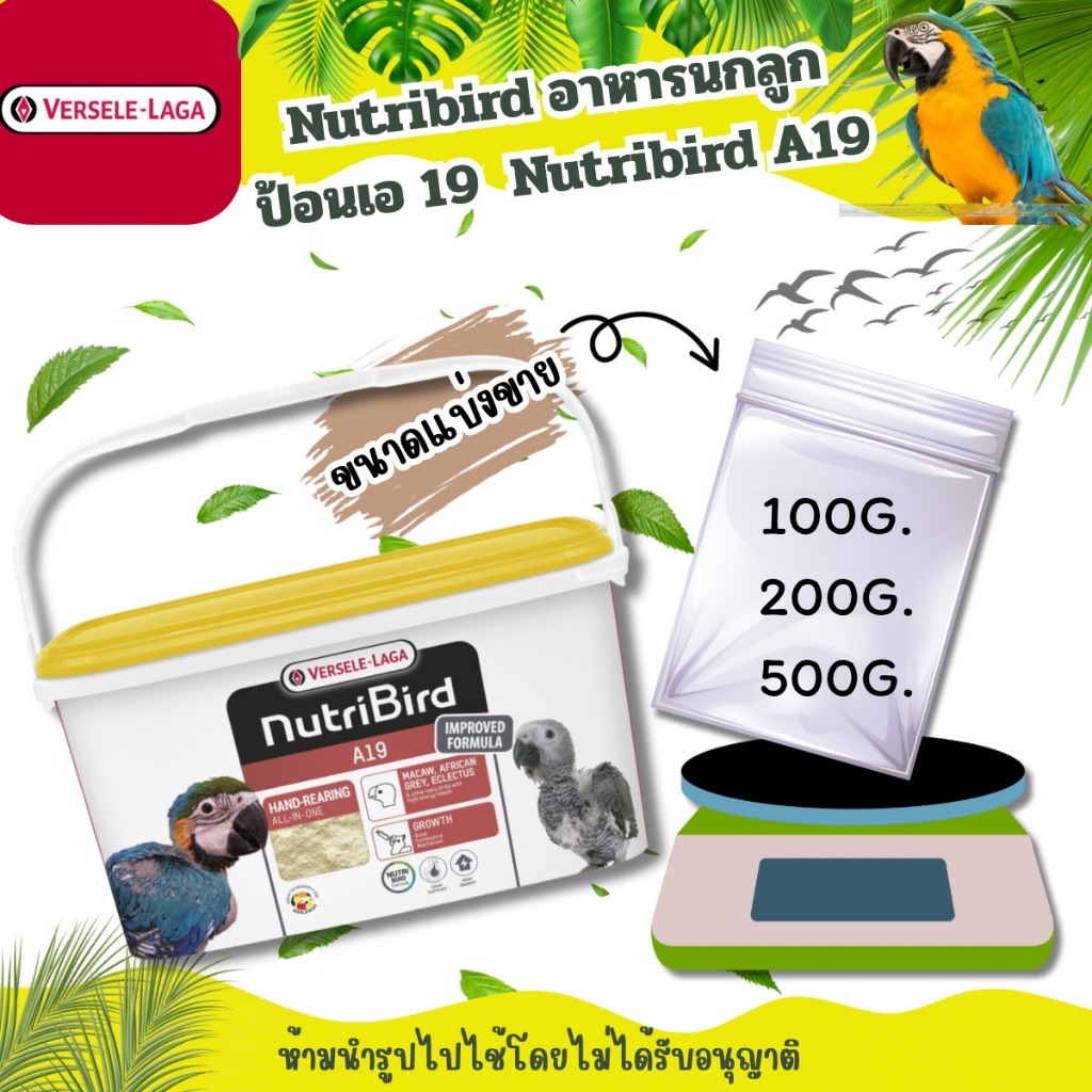 (ขนาดแบ่งขาย) Nutribird A19 อาหารนกลูกป้อนสูตรไขมันสูง Nutribird A19 ขนาดแบ่งขาย[100-500กรัม]