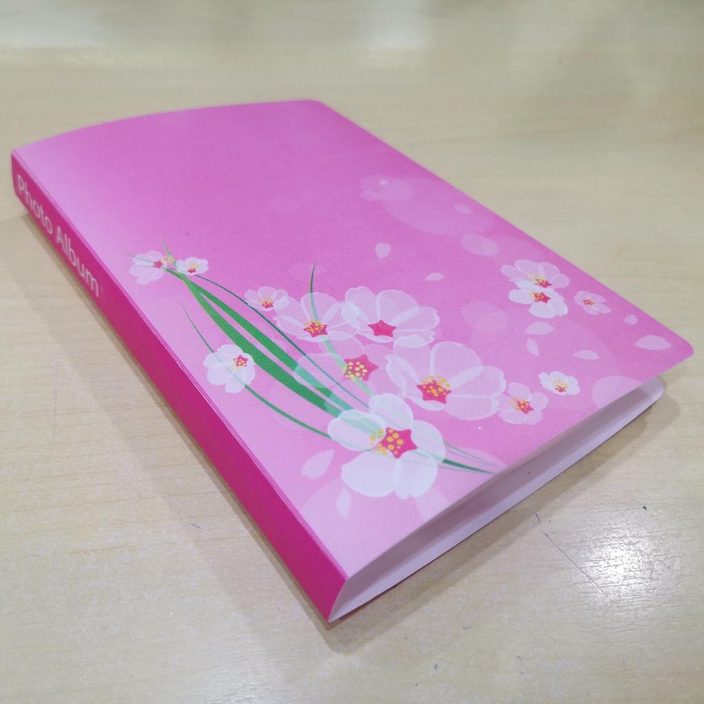 อัลบั้มรูป ปกพลาสติก ใส่รูป 4x6นิ้ว 40ภาพ (อัลบั้ม 4R)