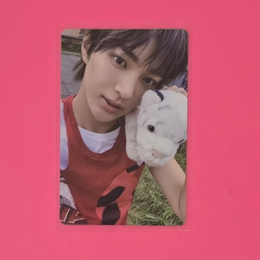 Cortis การ์ดแท้ กอนโฮ