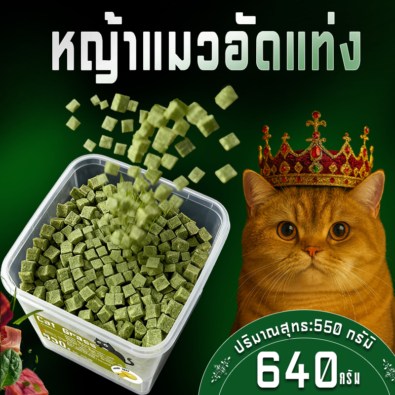 หญ้าแมวฟรีซดราย 640 กรัม ผสมอกไก่แท้ โปรตีนสูง ช่วยขับขนในลำคอ ขนมแมว หญ้าแมวอัดแท่ง ทานง่าย