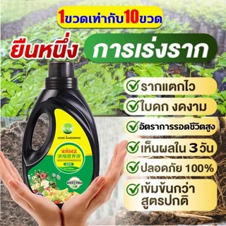 น้ำยาเร่งรากด่วน ปริมาณ 500ml เร่งโต รากเดิน บำรุงดิน ธรรมชาติ น้ำยาเร่งราก B1เร่งรากเห็นผลไว เพิ่มพื้นที่ผิวราก ลดการใช