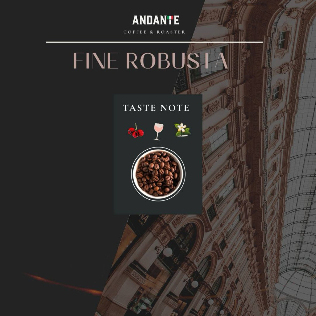 The Andante เมล็ดกาแฟคั่วอ่อน Fine Robusta บรรจุ 160 กรัม
