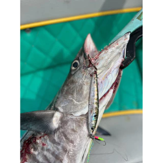 เหยื่อจิ๊ก แคส NC50 by fishingNC