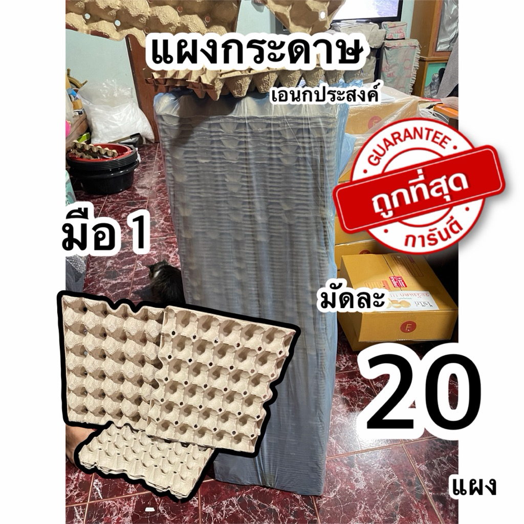 แผงไข่กระดาษ มือ1 มัดละ20แผง โปรส่งฟรี