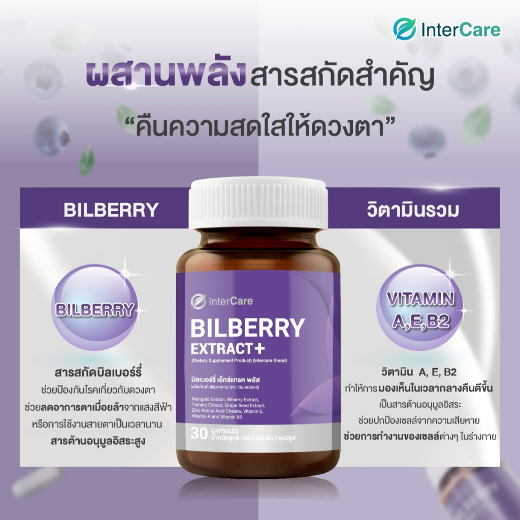 InterCare Bilberry extrac สกัดจากบิลเบอร์รี่และลูทีน บำรุงสายตา ช่วยในการมองเห็น ลดอาการตาแห้ง - รูปที่ 3