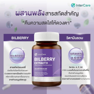 [แพ็คคู่] InterCare Bilberry extract+ สกัดจากบิลเบอร์รี่และลูทีน บำรุงสายตา 30 เม็ด 2 กระปุก