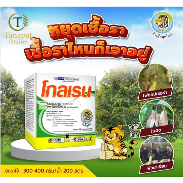 โกลเรน ขนาด1กิโลกรัม สารไดเมโทมอร์ฟ 12% + ไพราโคลสโตรบิน 6.7% WG กลุ่ม 40 + 11 สูตรเกล็ด ใช้ง่าย ละลายน้ำดี สองพลังบวก