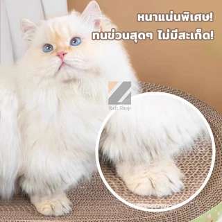ของแท้! กล่องกระดาษแมว 4 ไซส์ ซื้อ 1 แถม 1 ทนข่วน ไม่เหลือง ใหญ่ ใช้ได้ทั้งปี