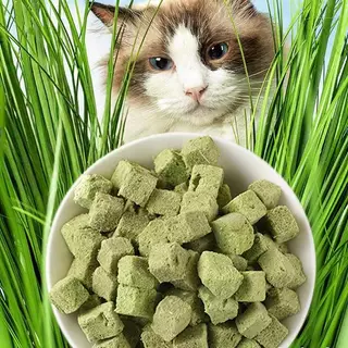 MI ขนมหญ้าแมว ฟรีซดราย ผลิตจากต้นอ่อนข้าวสาลี ผสมอกไก่ Catnip