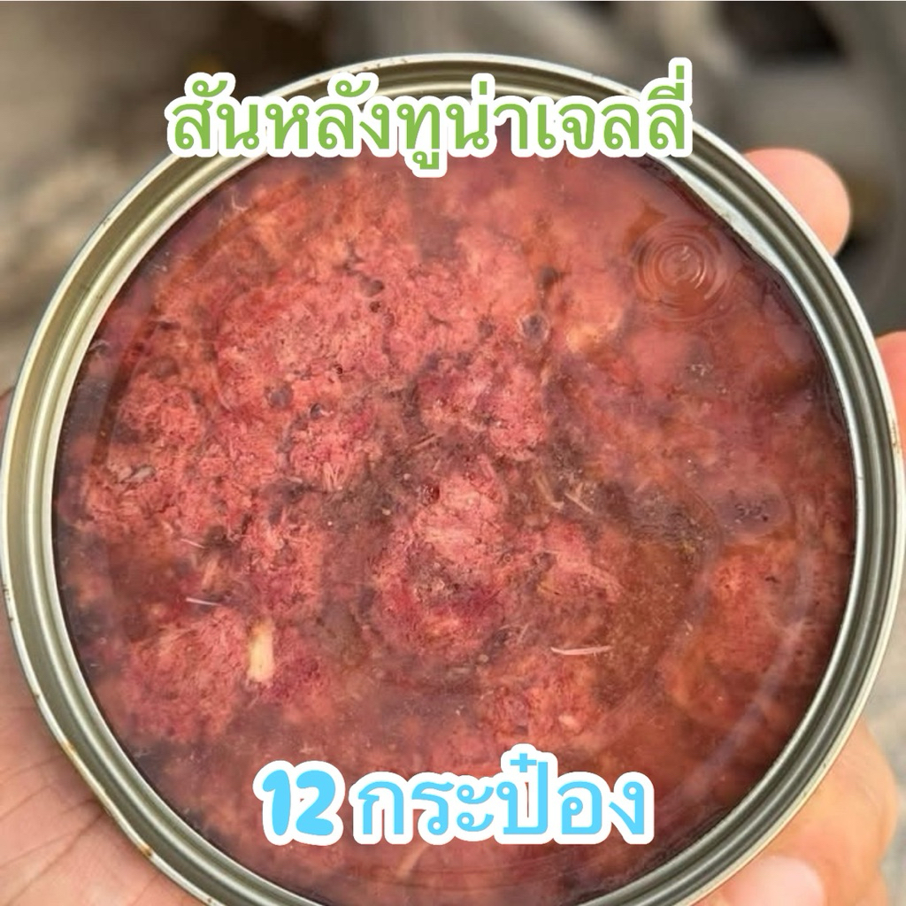 Thumbnail 9