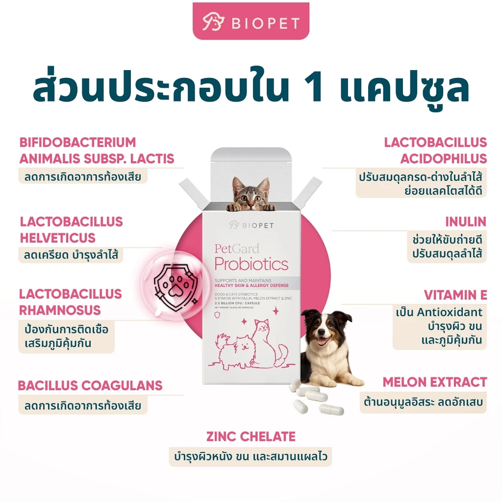[CLEARANCE ลด 50%] PetGard โพรไบโอติกของสัตว์เลี้ยง สูตรผิวหนัง บำรุงขน Medical Grade Probiotic thumbnail 5