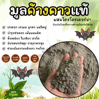 มูลค้างคาว บดละเอียด ขี้ค้างคาว หมักอย่างดีผสมไตรโครเดอร์ม่า ใช้ได้เลยปลอดภัยกับพืช ธาตุอาหารสูงเข้มข้น พร้อมใช้