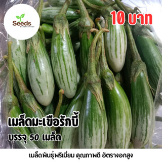 เมล็ดมะเขือรักบี้ บรรจุ 50 เมล็ด