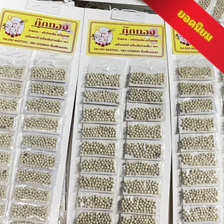 พริกไทย พริกไทยขาว พริกไทยเม็ด พริกไทยขาวเม็ด by กุ๊กทอง