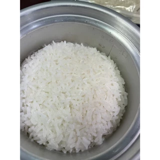 ข้าวตราดอกบัว ข้าวหอมมะลิใหม่ต้นฤดู100%(ปี2026) 5กก.Pack 4 ถุง