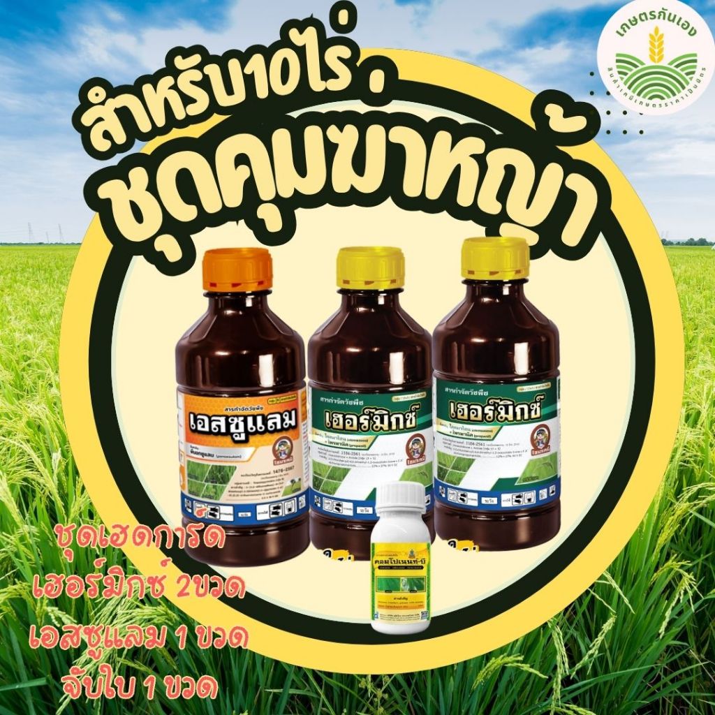 ชุดคุมฆ่าในนาข้าว ยาคุมข้าว กำจัดวัชพืช หญ้าข้าวนก หญ้าดอกขาว หญ้านกสีชมพู ผักปราบ กกขนาก ใช้ได้ 10 ไร่ ไซมา