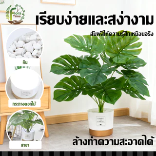 ต้นไม้ปลอมใหญ่ 12/18/24ใบ ความจำลอง 99% ไม่จำเป็นต้องบำรุงรักษา สดชื่นยาวนาน ต้นไม้ประดับบ้าน แถมฟรีหิน