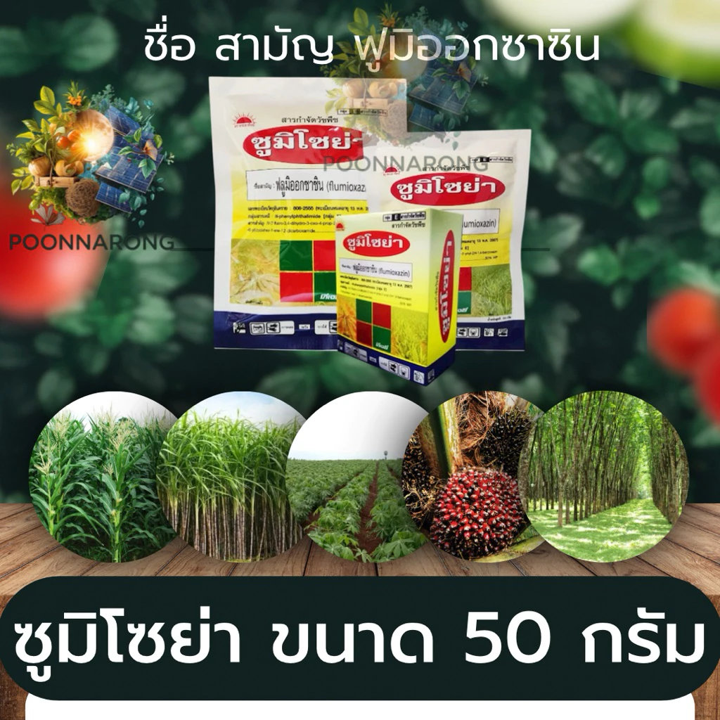 ซูมิโซย่า ยาคุมหญ้าดินแห้ง (50/100กรัม) ฟลูมิออกซาซิน (flumioxozin) 50% WP พูนณรงค์