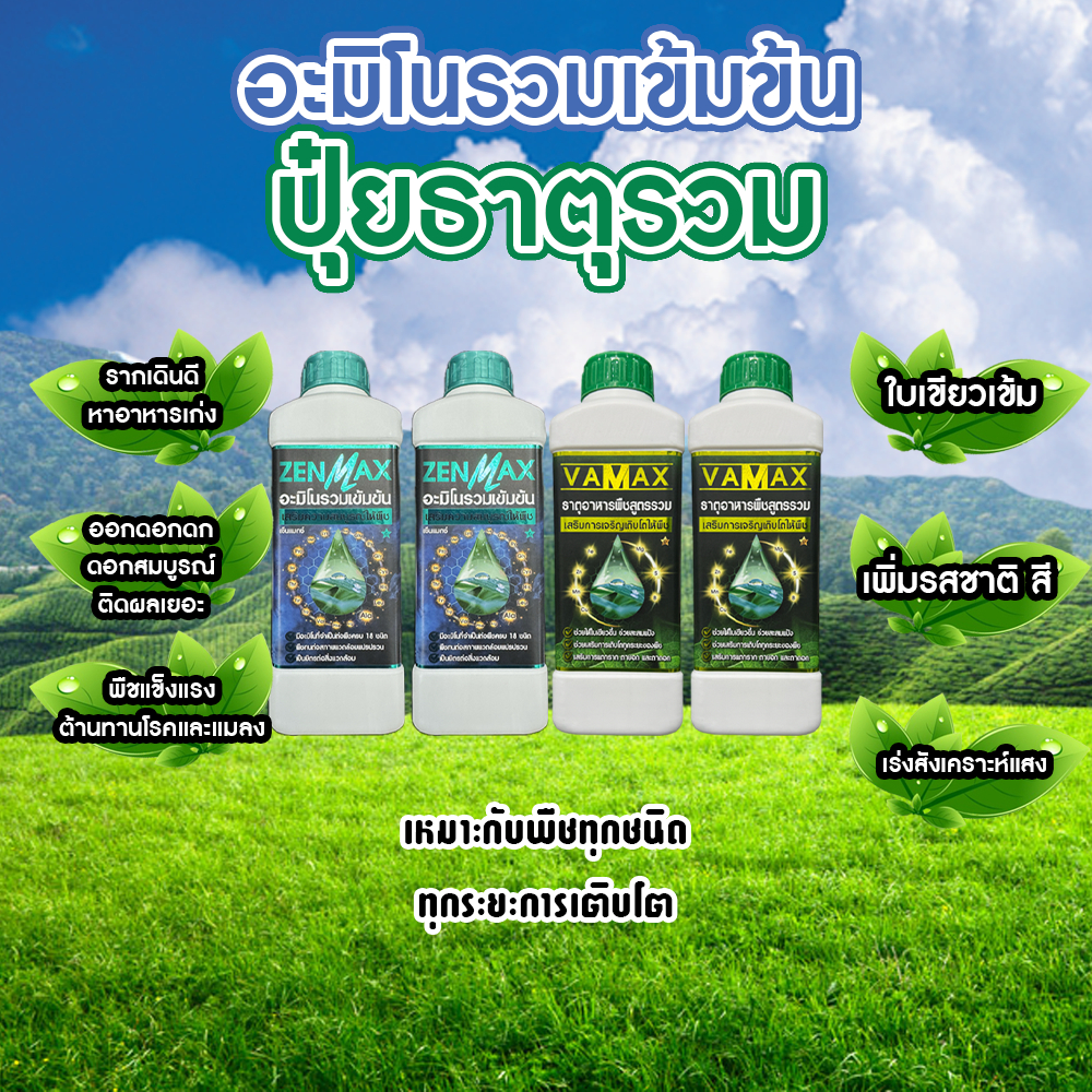 อะมิโนรวมเข้มข้น Zenmax + ปุ๋ยธาตุอาหารรวม Vamax เหมาะกับพืชทุกชนิด ทุกระยะการเติบโต 4 ลิตร