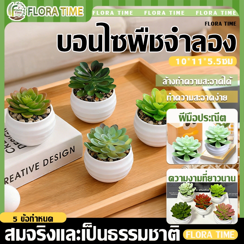 พืชอวบน้ําจําลอง พืชประดิษฐ์  ในร่มสก์ท็อปชั้นวางหนังสือตกแต่งพืชสีเขียว บ้านตารางตกแต่งสวน รูปร่างเต็ม