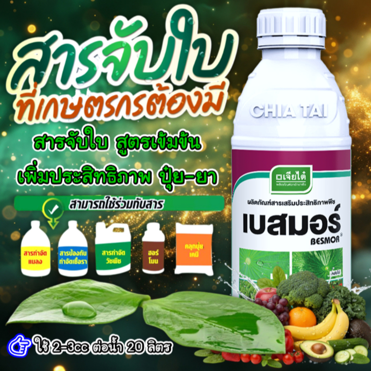 เบสมอร์ (100ซีซี 500ซีซี) สารจับใบ สูตรเข้มข้น เข้าสู่ใบพืชได้เร็ว เร่งการดูดซึม สารเสริมประสิทธิภาพ