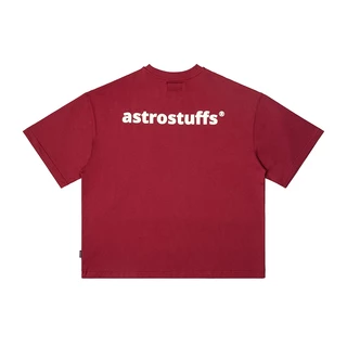FA24 BOXY LOGO TEE (RED/BEIGE/NAVY/GREEN)