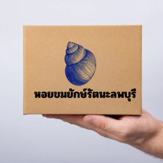 หอยขมยักษ์รัตนะฟาร์มลพบุรี พร้อมส่ง