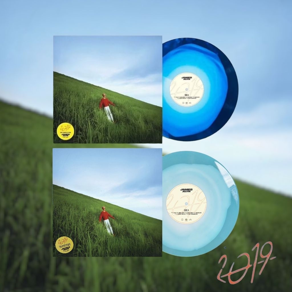 แผ่นเสียง Vinyl JAMES ALYN: 2019