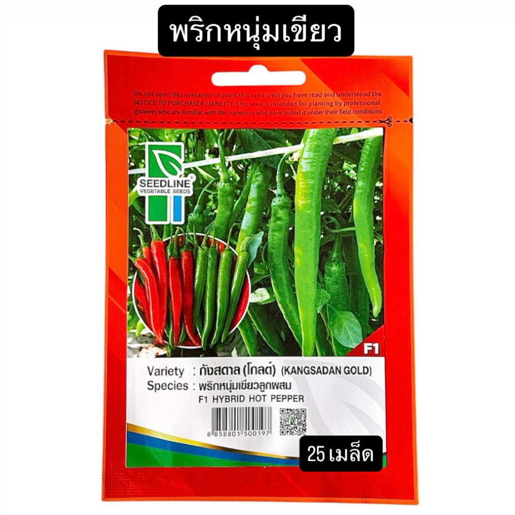 เมล็ด พริกหนุ่ม สีเขียว กังสดาล ตราซีดไลน์ (25 เมล็ด)