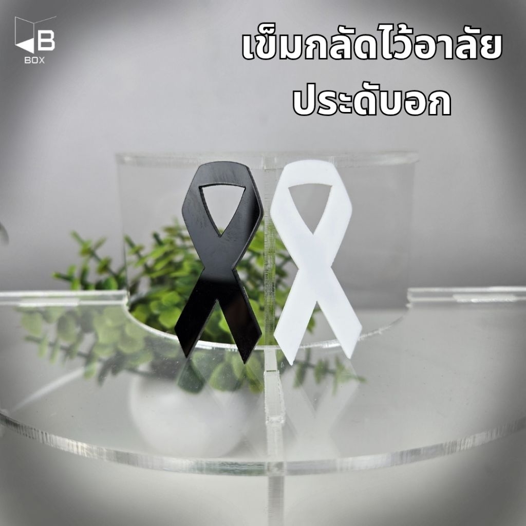 เข็มกลับริบบิ้น เข็มกลัดไว้อาลัย เข็มกลัดขาวดำ เข็มกลัดไว้ทุกข์ - รูปที่ 3